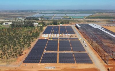 Projet de batteries