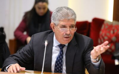 Ahmed Touizi