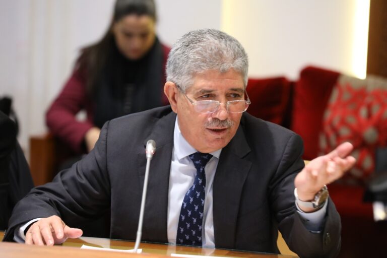 Ahmed Touizi